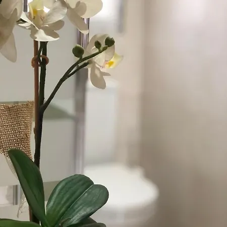 Casa El Tejar Las Navas del Marqués