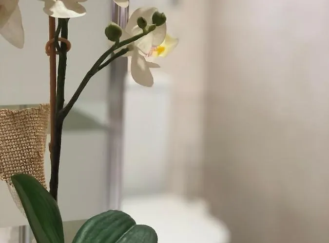 Casa El Tejar Лас Навас дель Маркес